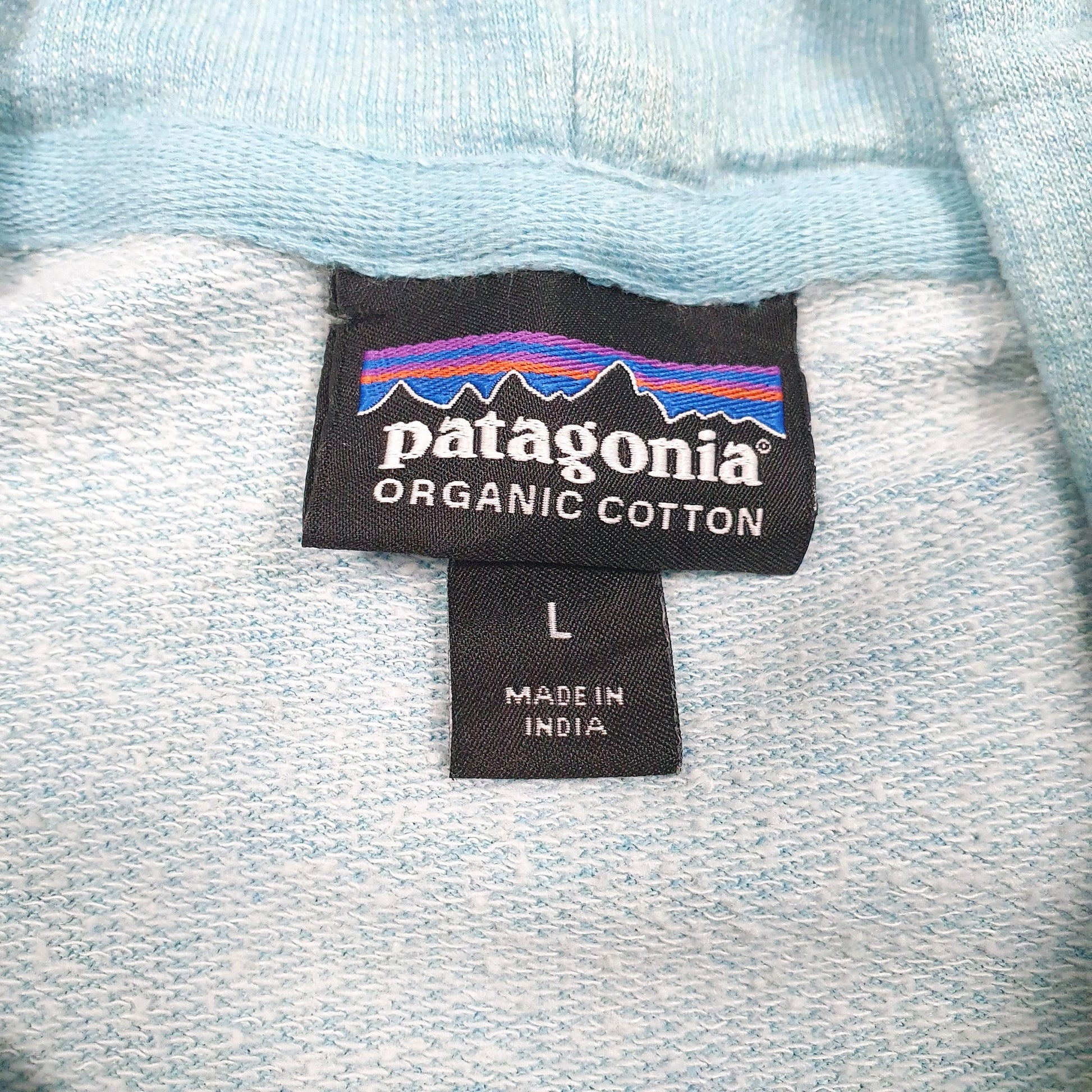 Mens Blue Patagonia Spellout Hoodie Jumper