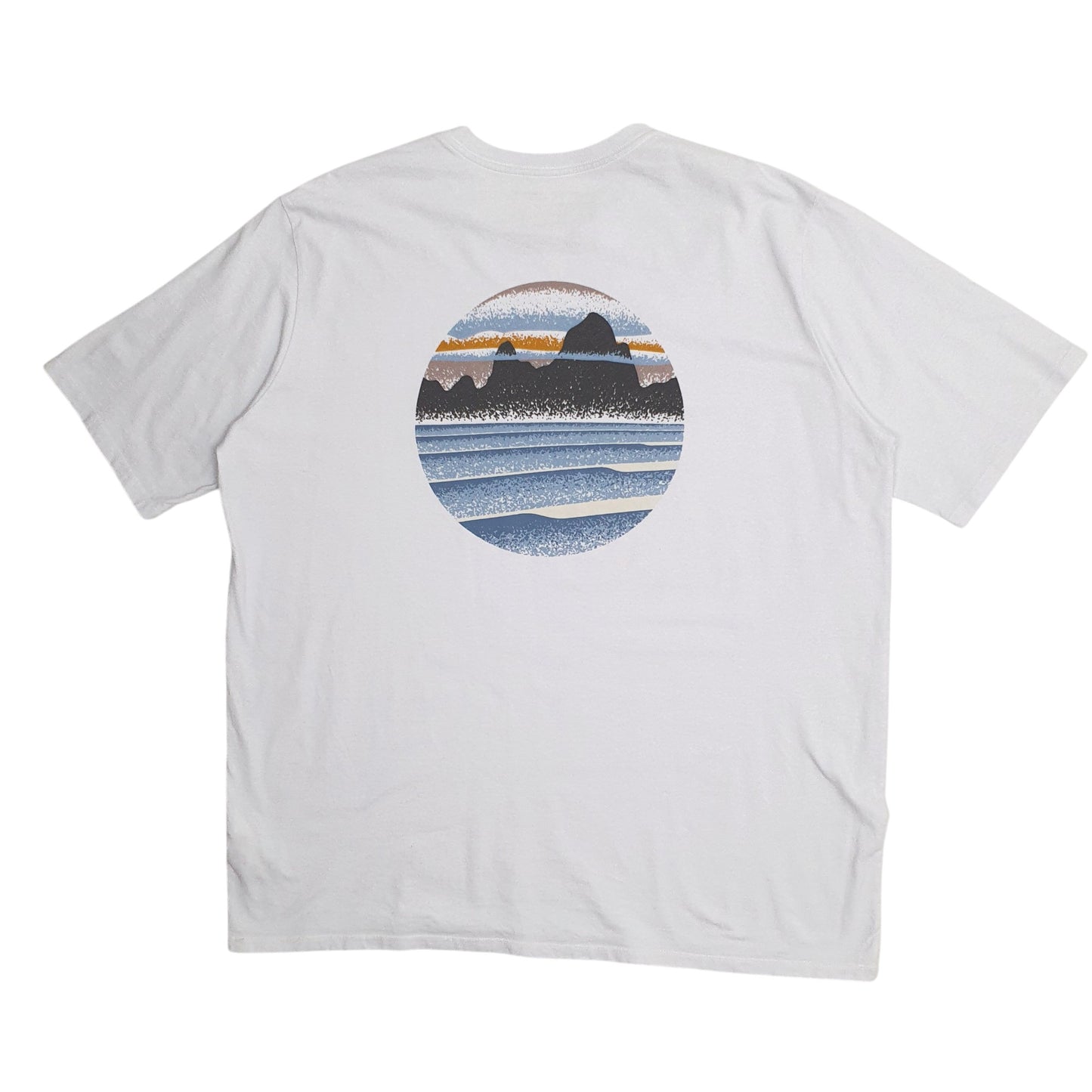 Mens Blue Patagonia   T Shirt