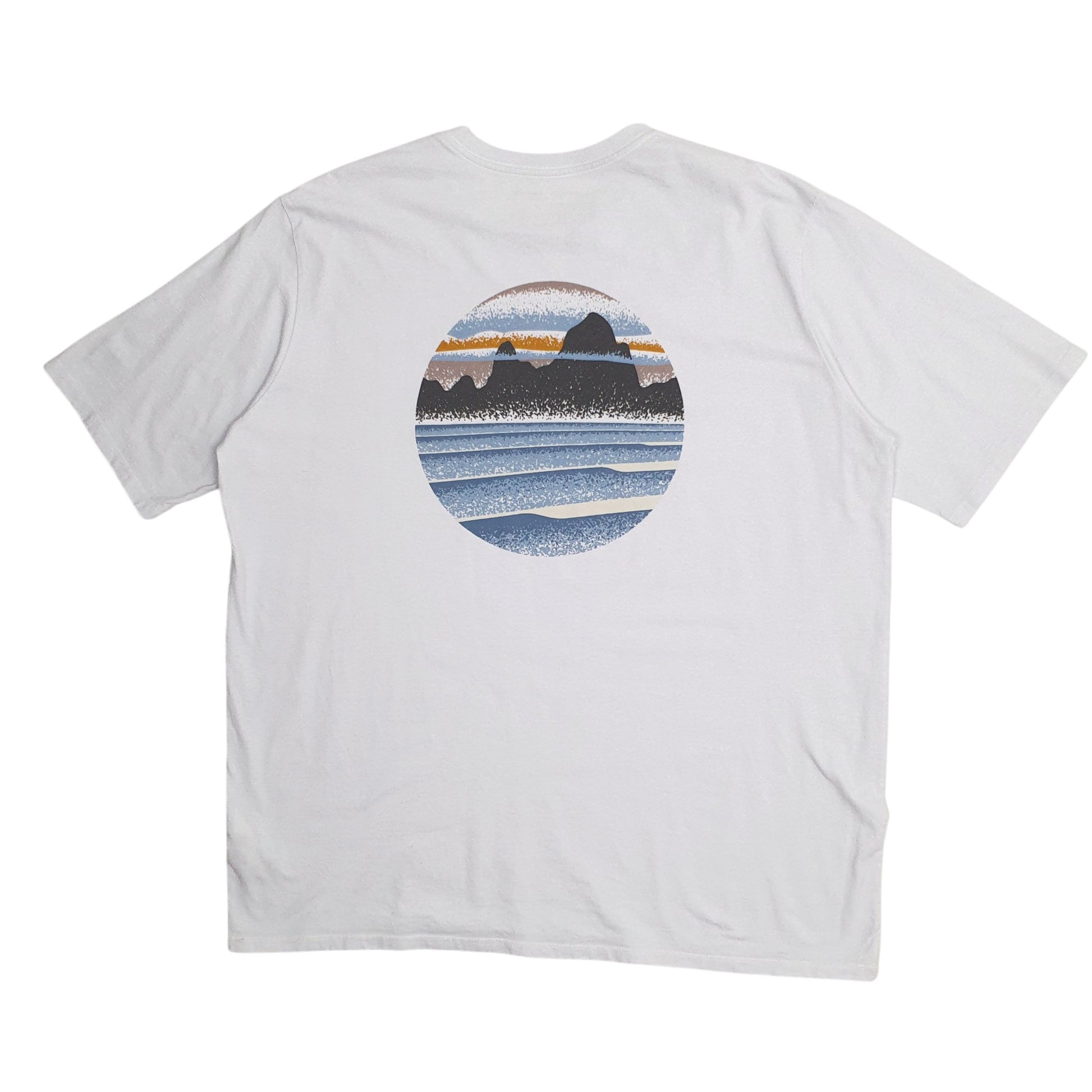 Mens Blue Patagonia   T Shirt