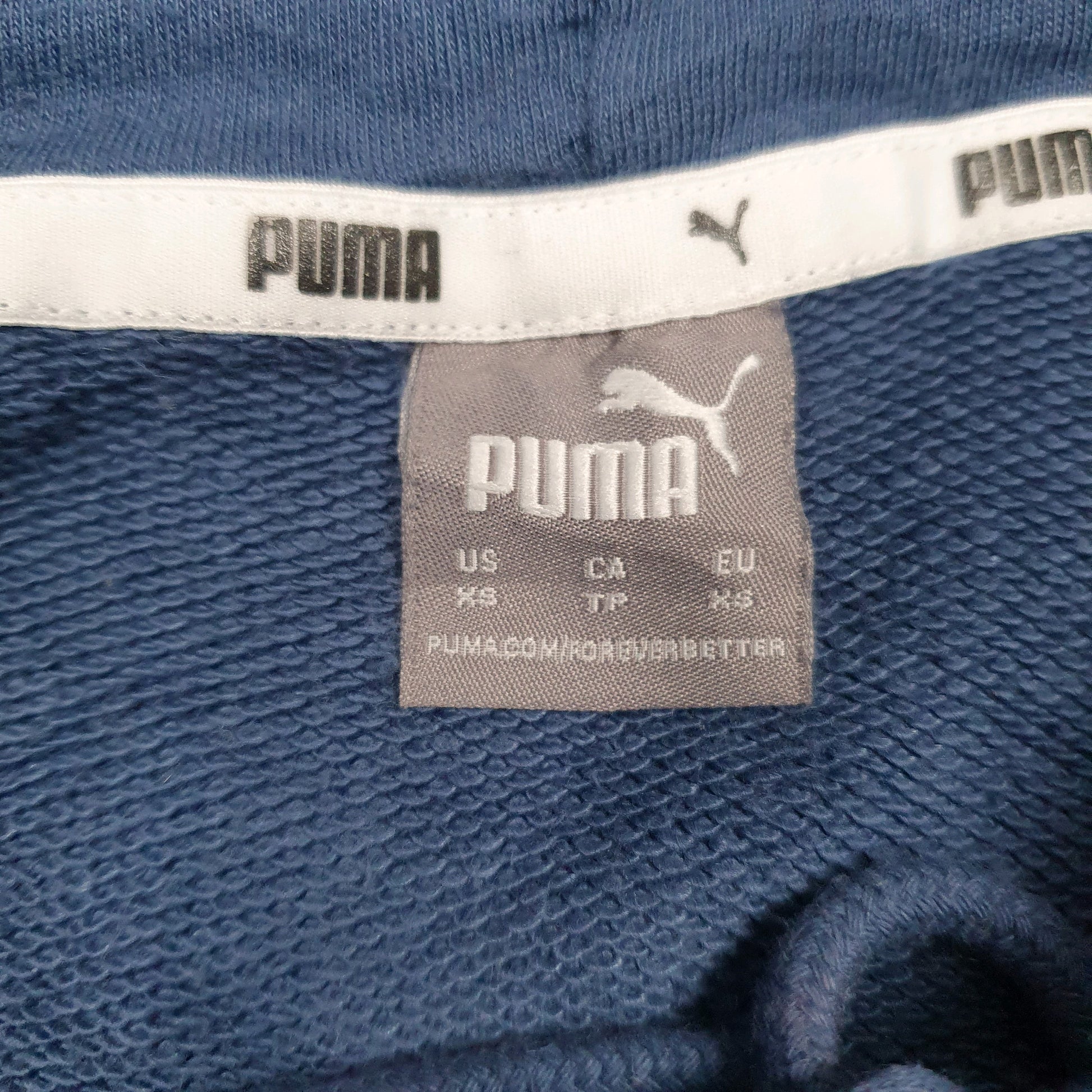 Mens Blue Puma Spellout Hoodie Jumper