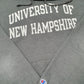 Mens Grey Champion University of New Hampshire Hoodie Jumper