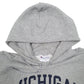Mens Grey Champion USA College Michigan Hoodie Jumper