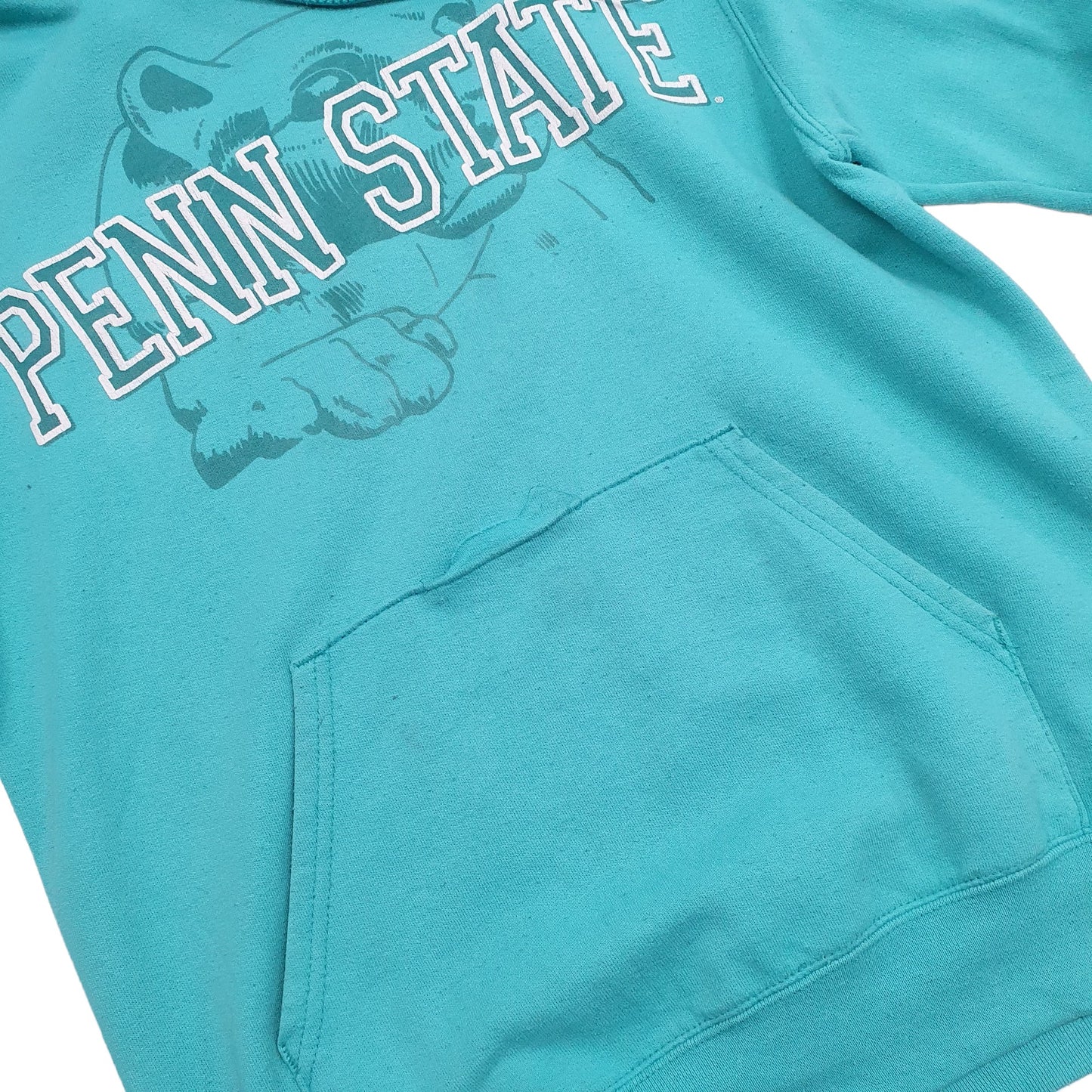 Mens Turquoise Champion Penn State USA College Hoodie Jumper