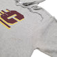 Mens Grey Champion USA College Hoodie Jumper