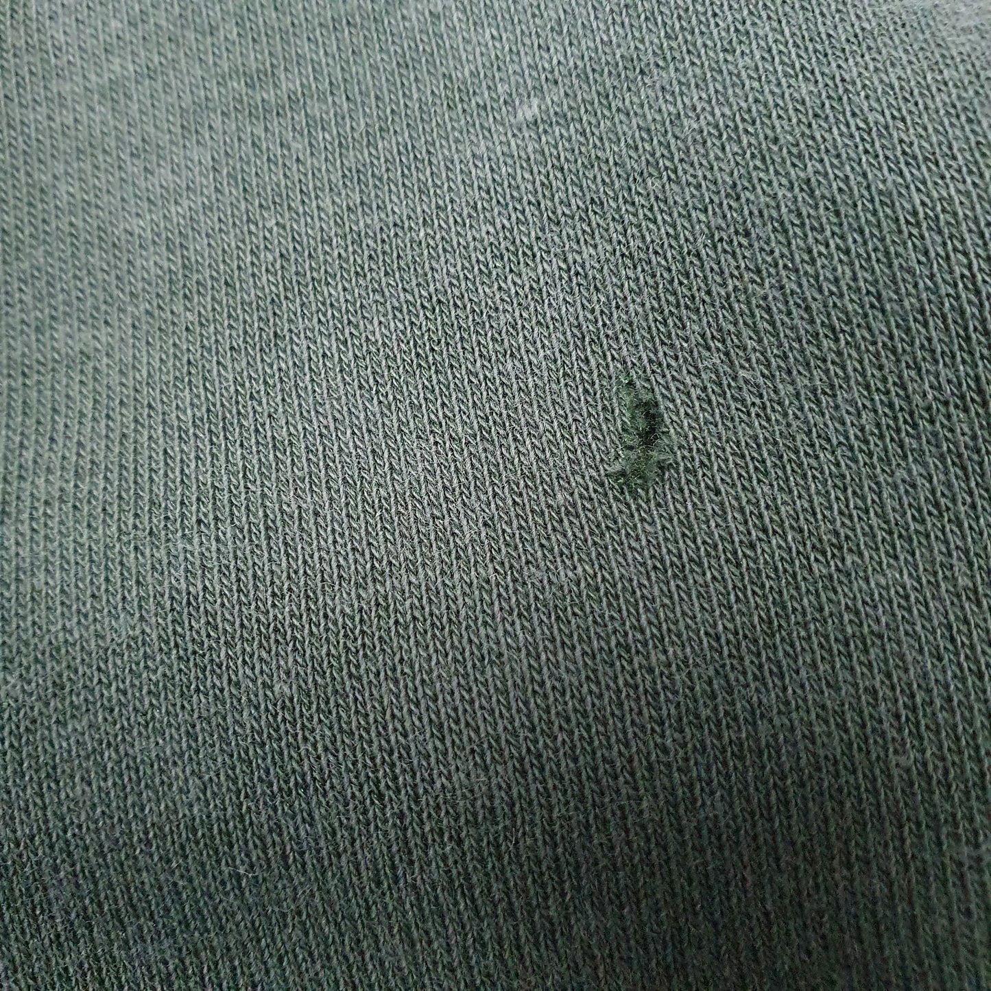 Womens Green Champion California State University Sacremento Spellout Hoodie Jumper