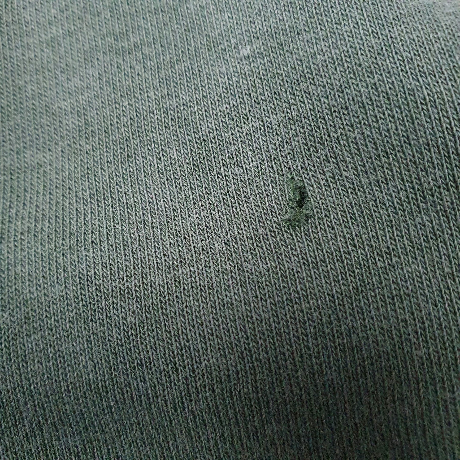 Womens Green Champion California State University Sacremento Spellout Hoodie Jumper