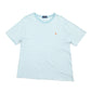 Mens Blue Ralph Lauren Striped Short Sleeve T Shirt