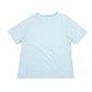 Mens Blue Ralph Lauren Striped Short Sleeve T Shirt