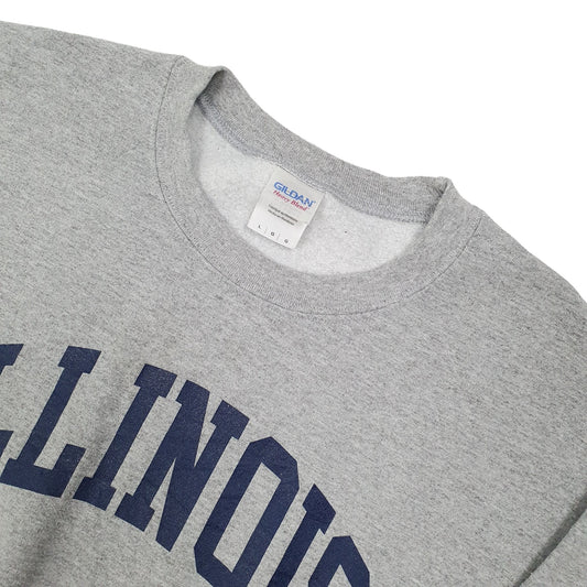 Gildan Illinois USA Vintage Crewneck L Grey