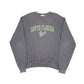 Mens Grey Champion South Florida USA Crewneck Jumper