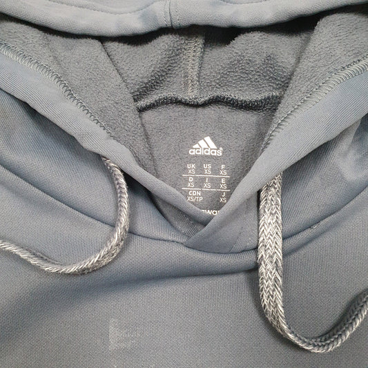 Mens Grey Adidas Hamilton Raptors Soccer USA Active Hoodie Jumper