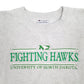 Mens Grey Champion USA College North Dakota Fighting Hawks Crewneck Jumper