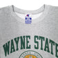 Mens Grey Champion USA College Wayne State University Crewneck Jumper