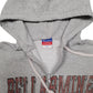 Mens Grey Champion Bellarmine USA College Hoodie Jumper