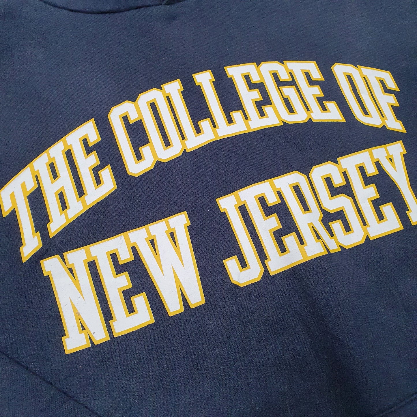 Mens Navy Champion College Of New Jersey Hoodie Jumper