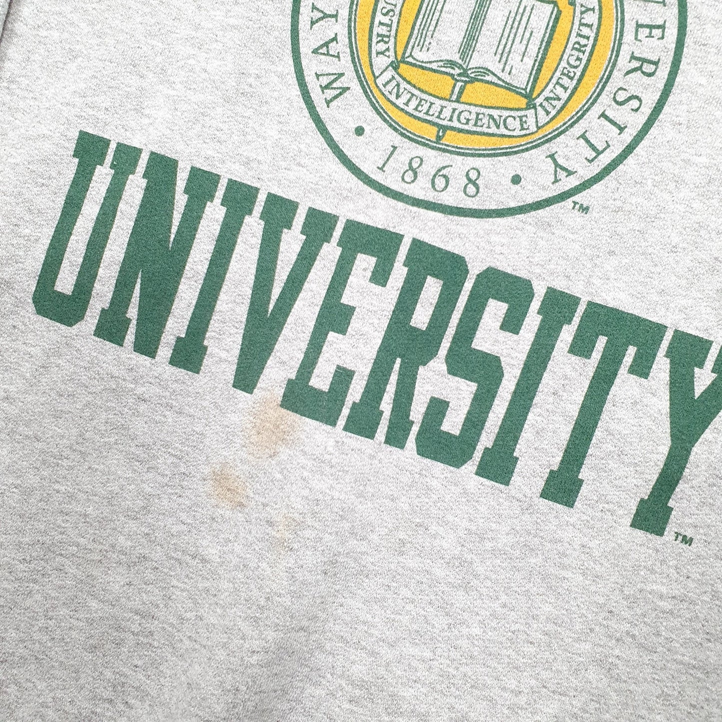 Mens Grey Champion USA College Wayne State University Crewneck Jumper