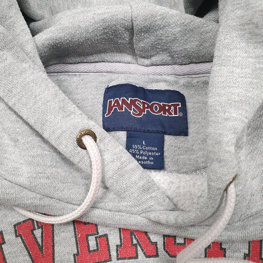 Mens Grey Jansport University of Hartford Hoodie Jumper