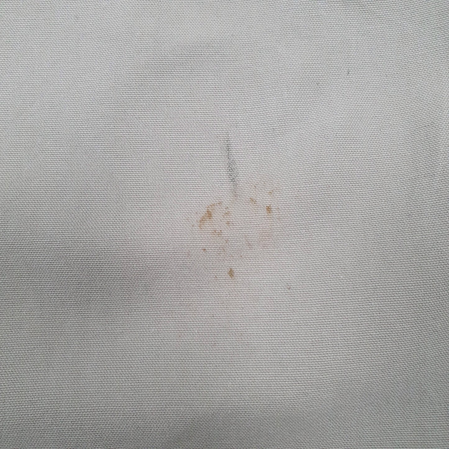 Carhartt Carpenter Loose Fit Jeans W30 L30 Beige