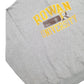 Mens Grey Champion Rowan University USA College Quarter Zip Jumper