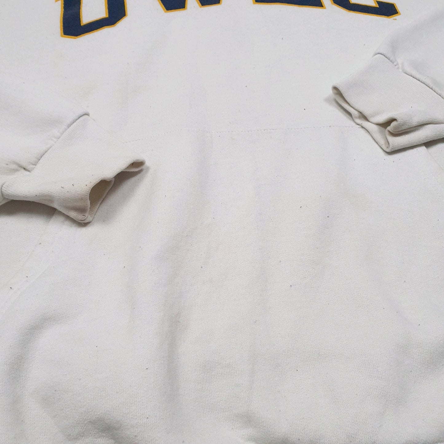 Mens White Champion UWEC University Of Wisconsin Eau Claire Hoodie Jumper