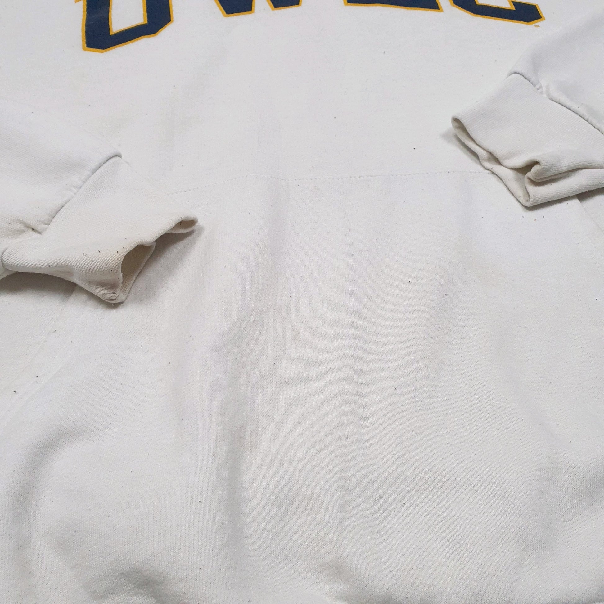 Mens White Champion UWEC University Of Wisconsin Eau Claire Hoodie Jumper