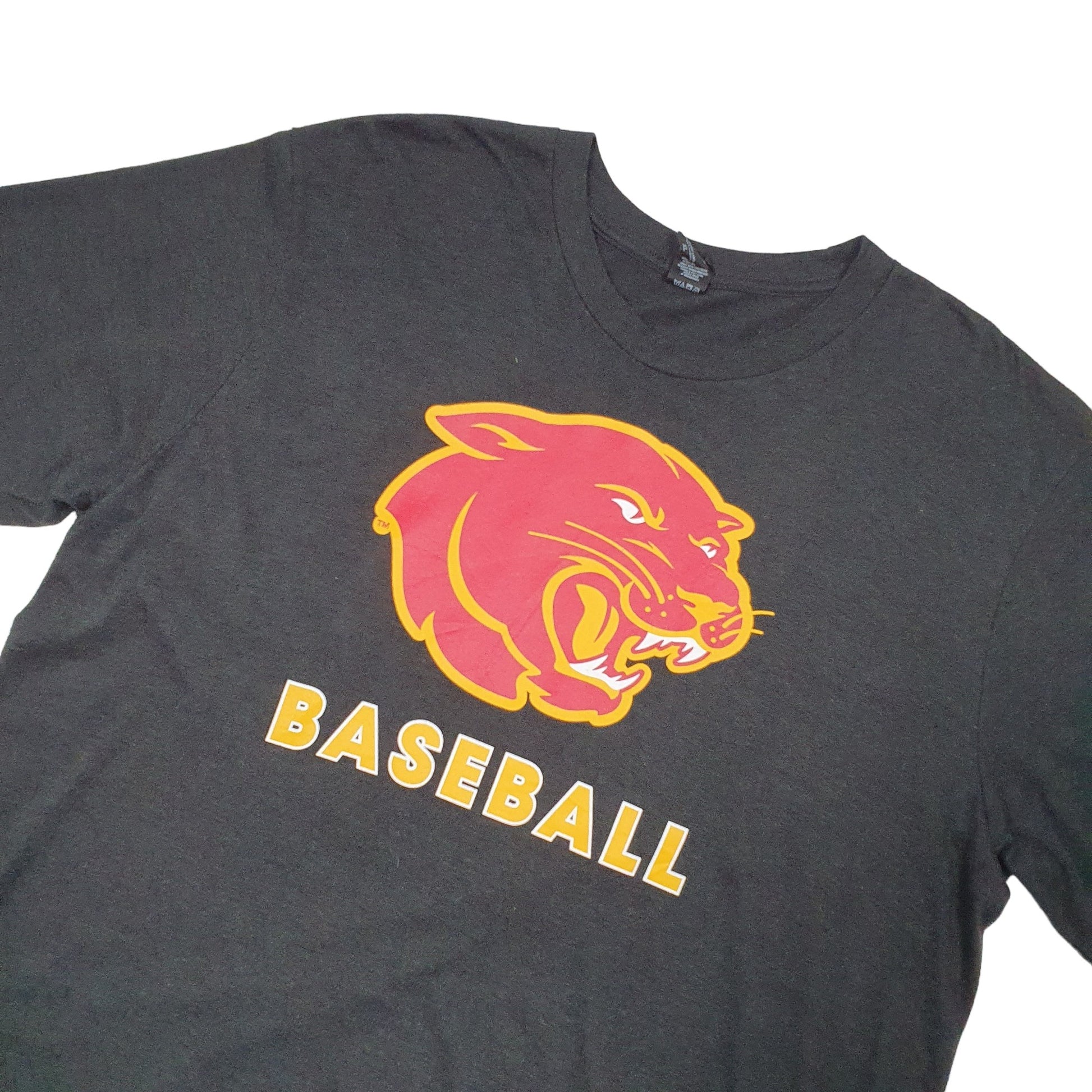 District Made Panthers Baseball Short Sleeve T Shirt Grey