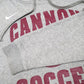 Mens Grey Nike Cannon Soccer Panthers Hoodie Jumper