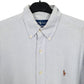 Ralph Lauren Long Sleeve Regular Fit Pinstripe Shirt Blue