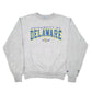 Mens Grey Champion University of Delaware Crewneck Jumper