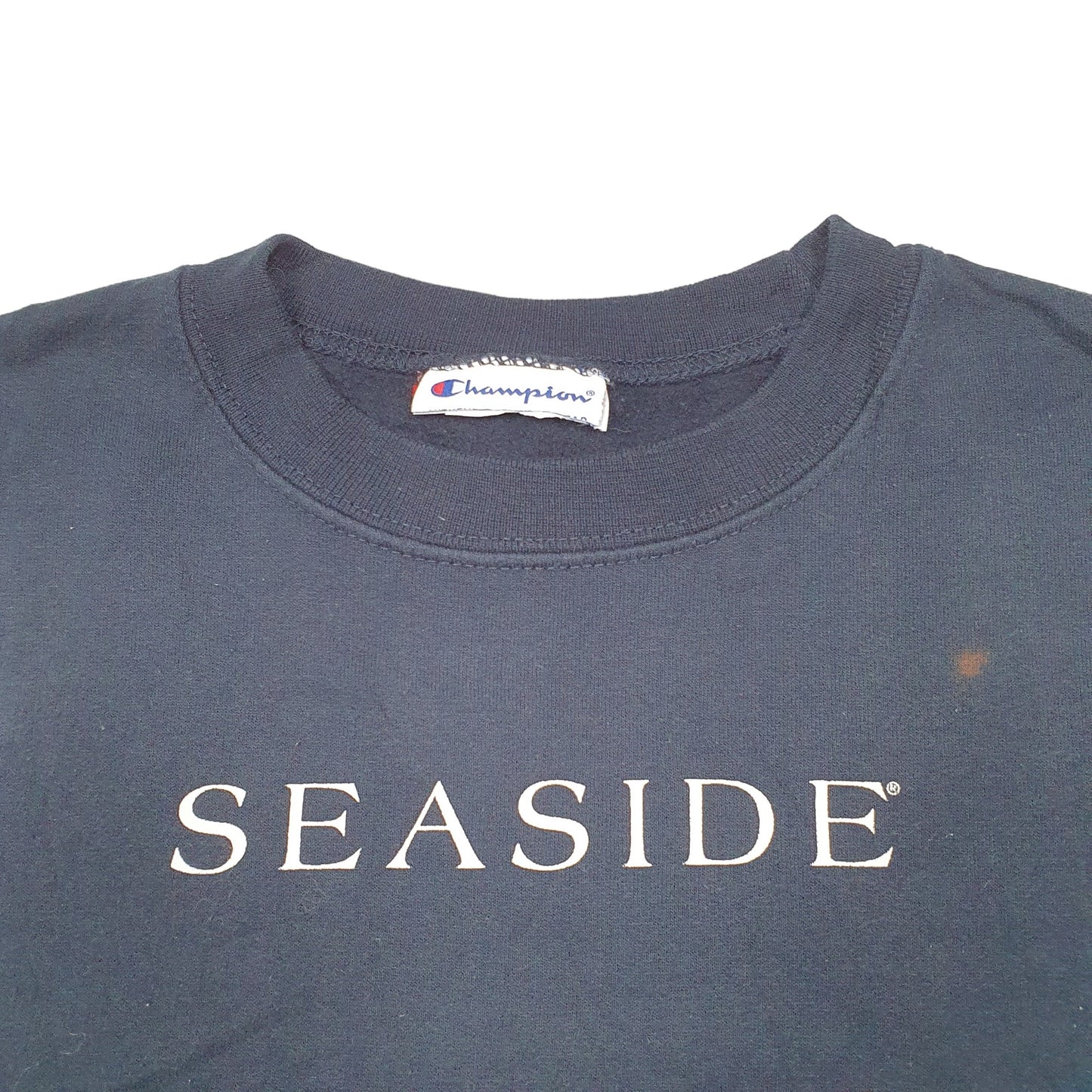 Mens Navy Champion Seaside Crewneck Jumper