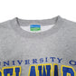 Mens Grey Champion University of Delaware Crewneck Jumper