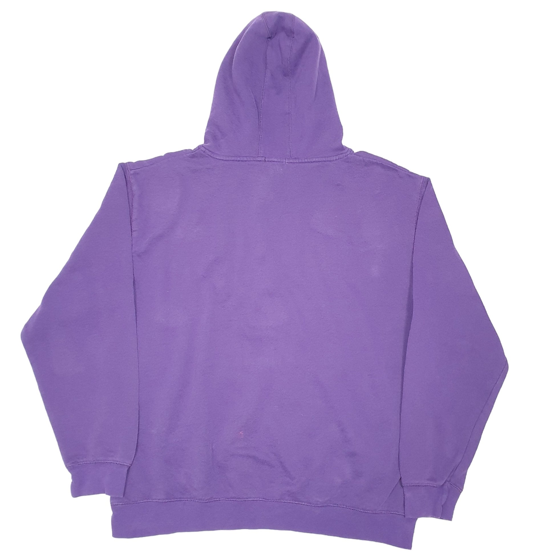 Mens Purple Champion Washington College USA Hoodie Jumper