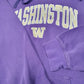 Mens Purple Champion Washington College USA Hoodie Jumper