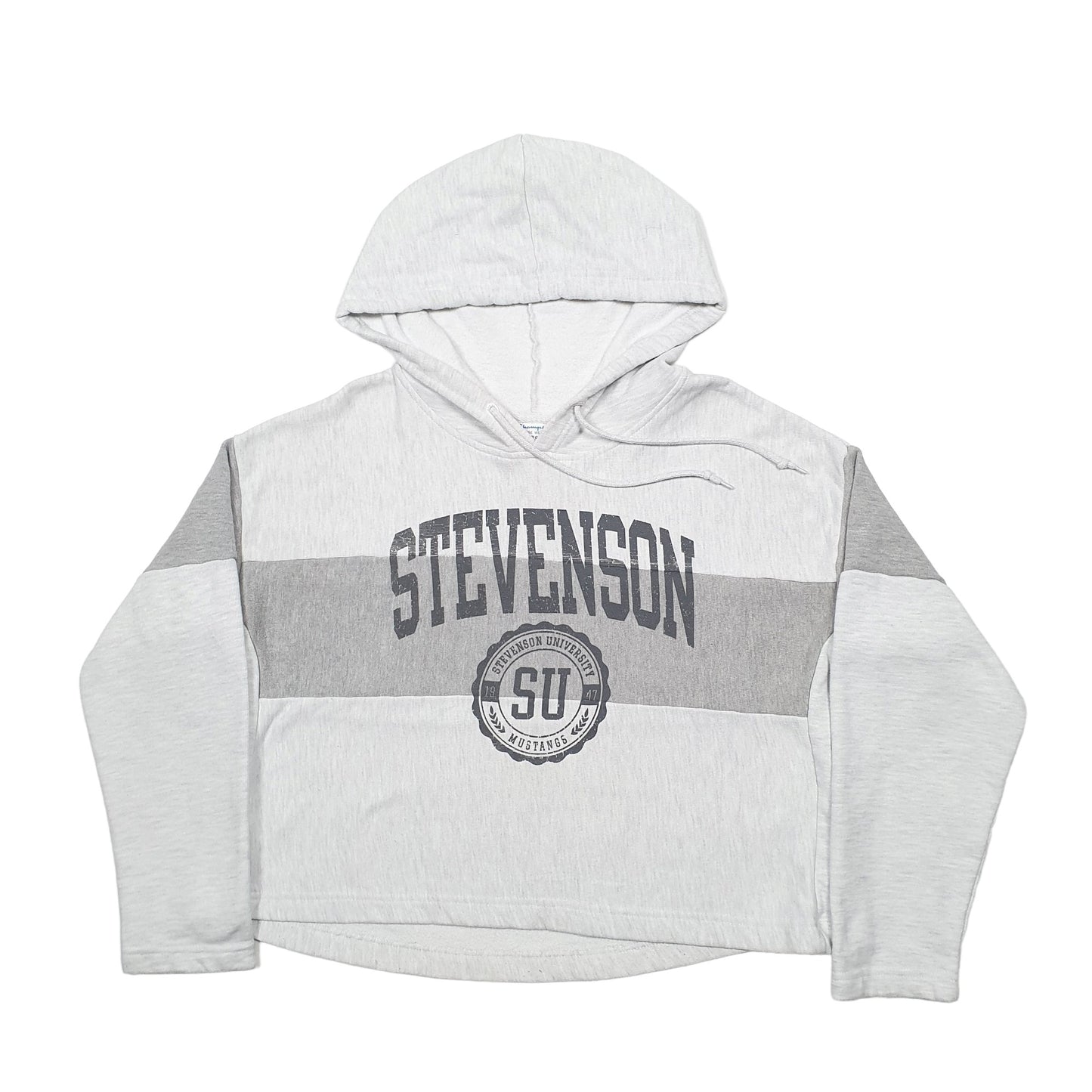 Womens Grey Champion Stevenson USA College Hoodie Jumper